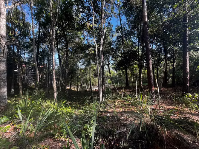 SOLAR DE VENTA EN JARABACOA - Imagen 2