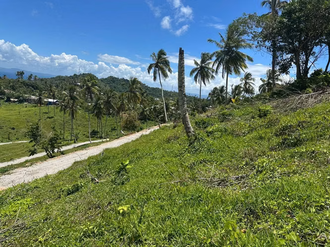 errenos Exclusivos en Lomas de Samaná