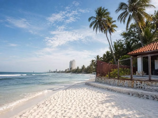 Terreno en Venta segunda línea de playa - Juan dolió - Imagen 4