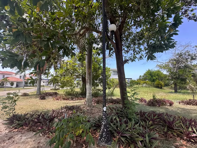 Terreno en venta the palms puerto plata - Imagen 2
