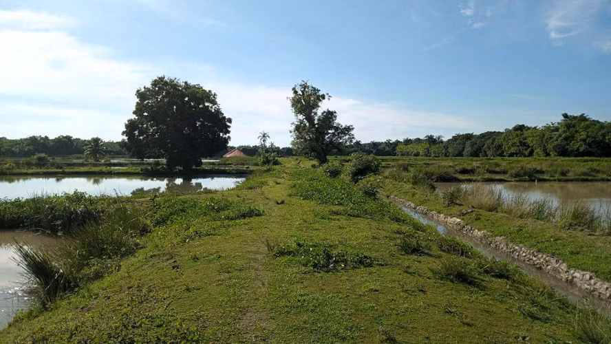 Hermosa Finca en San Antonio de Guerra - Imagen 8