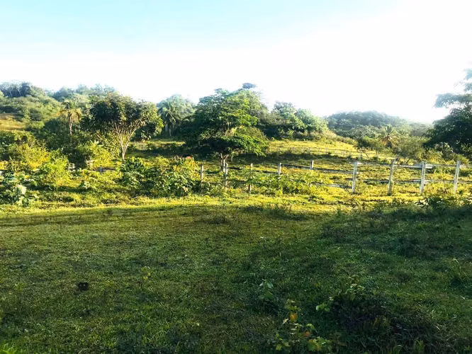 Terreno en Venta Las Terrenas - Imagen 4