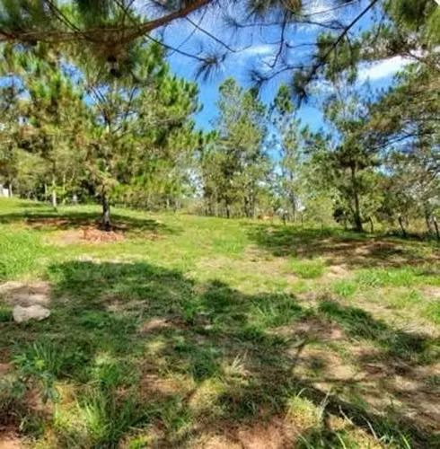 Venta Lotes desde en Jarabacoa La Vega - Imagen 4
