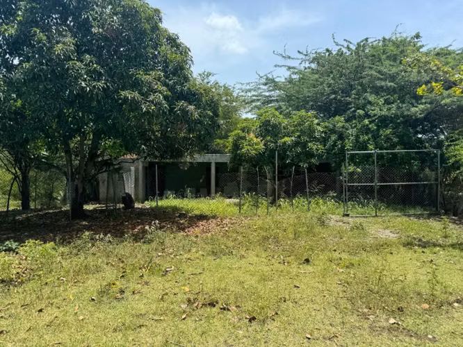 Finca en Venta en Baní con Ganado y Árboles Frutales – 118,635 m² - Imagen 1