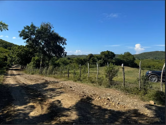Finca en Venta en Baní con Ganado y Árboles Frutales – 118,635 m² - Imagen 2