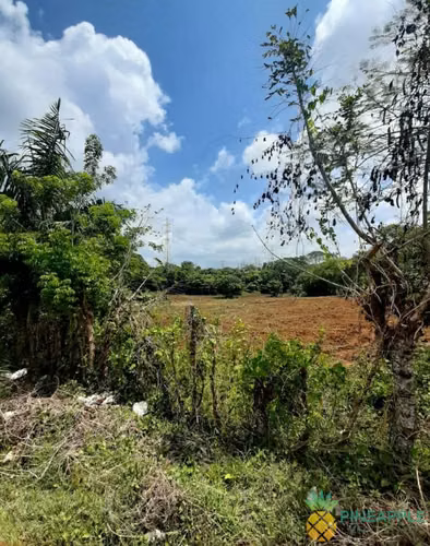 Parcela 12,000m2 con Titulo, en Pedro Brand (km22 Autopista Duarte) zona Merca Santo Domingo