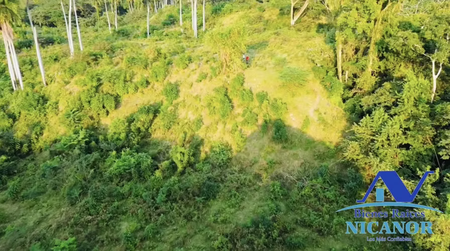 Finca ganadera de 1,150 tareas en Guananico puerto plata - Imagen 5