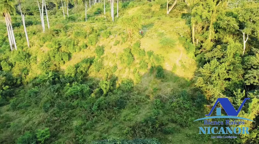 Finca ganadera de 1,150 tareas en Guananico puerto plata - Imagen 9