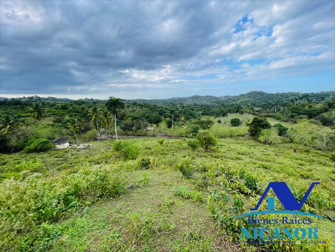 Finca Ganadera de 5,200 tareas en venta imbert puerto plata. - Imagen 3