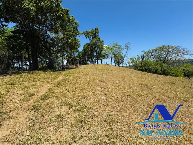 Finca ganadera en venta de 846 tareas Guananico puerto plata - Imagen 6