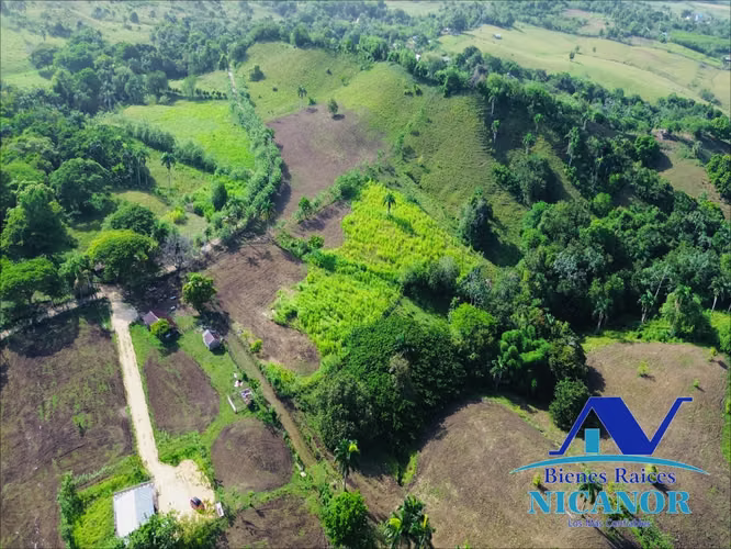 Finca ganadera en venta en puerto plata de 278 tareas - Imagen 3