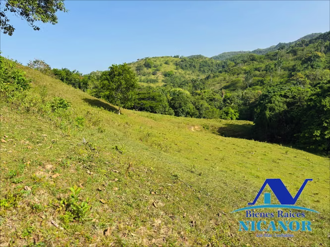 Finca ganadera en venta en puerto plata de 278 tareas - Imagen 6