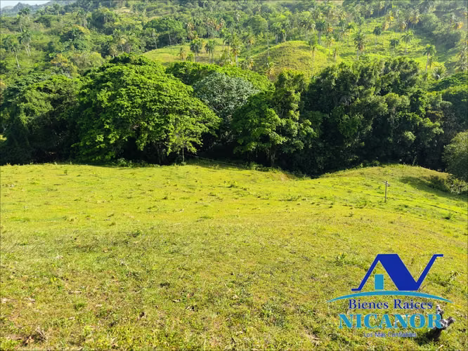 Finca ganadera en venta en puerto plata de 278 tareas - Imagen 5