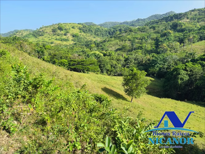 Finca ganadera en venta en puerto plata de 278 tareas - Imagen 4