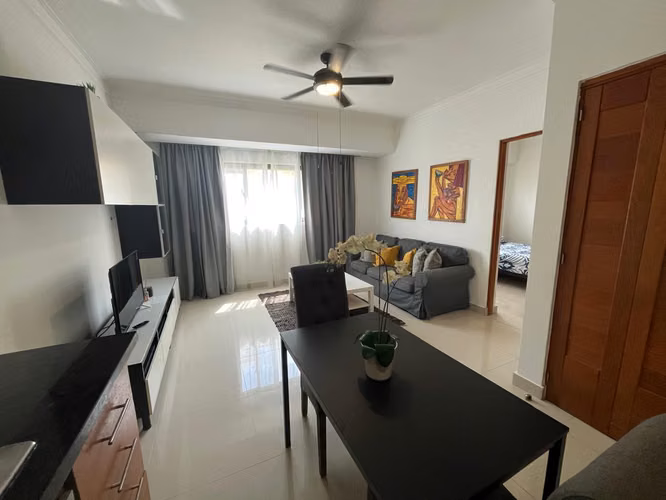 Excelente Apartamento Amueblado, 1 Habitación, Piantini - Imagen 7