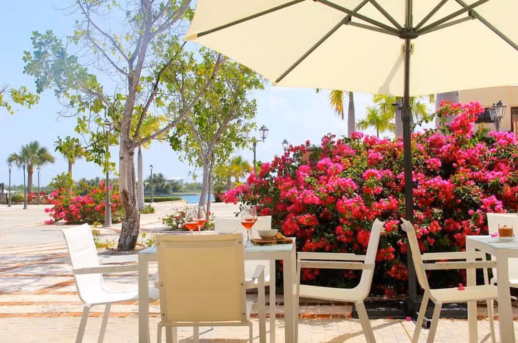 Local comercial en venta — Casa de pesca, Cap Cana | 112 m² | Con inquilino ya instalado | 599 000 USD - Imagen 5