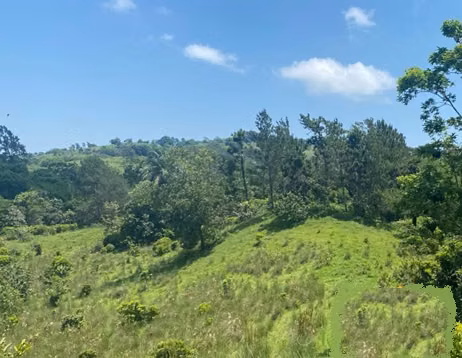 100,000 Mts.2 de Terreno en BUENA VISTA, JARABACOA, Cerca del RAQUET CLUB - Imagen 4