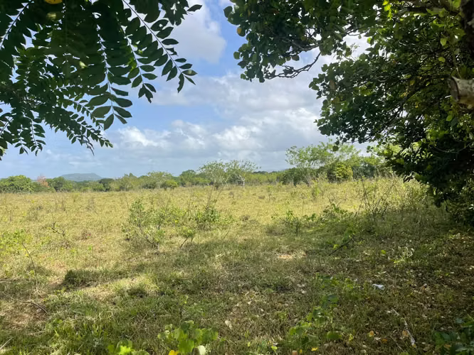 Vendo Finca GANADERA – AGRICOLA de 135 tareas en DON JUAN, MONTE PLATA