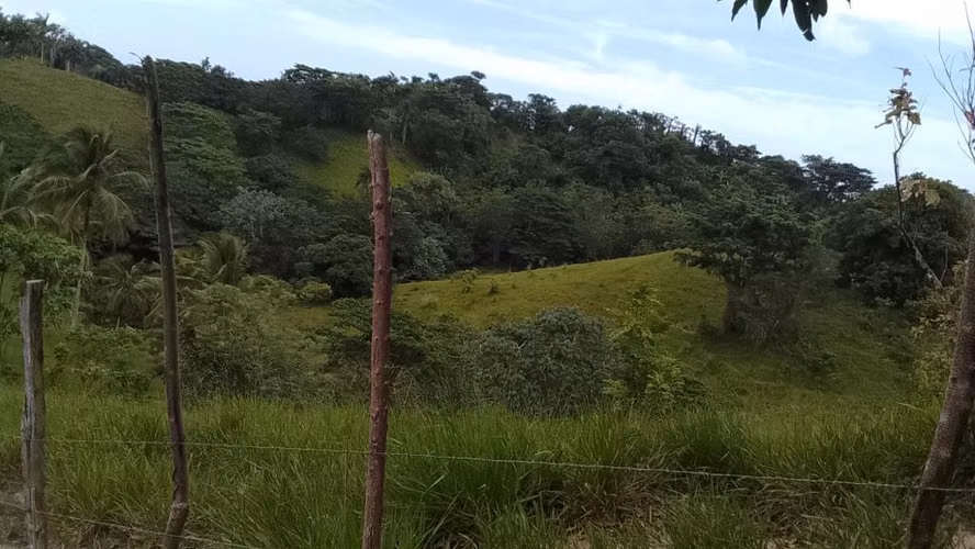 168 Tareas en Venta en Miches | Finca con Título