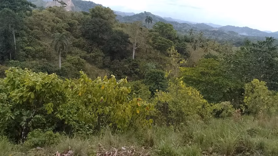 168 Tareas en Venta en Miches | Finca con Título