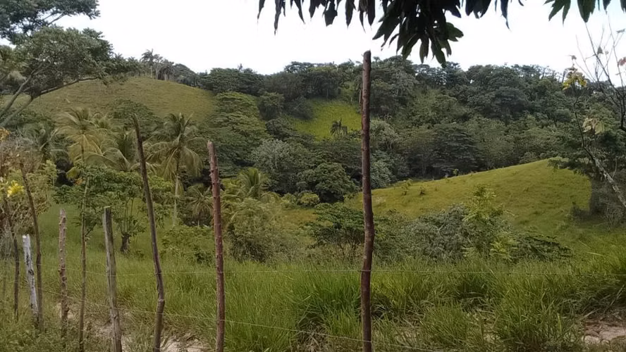 168 Tareas en Venta en Miches | Finca con Título