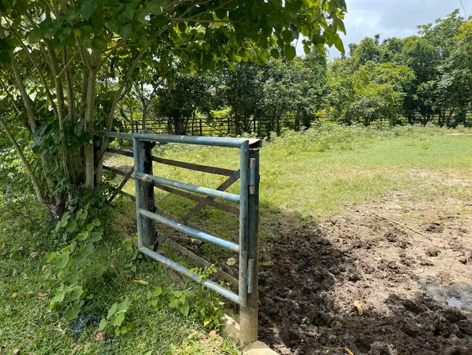 Finca 1,595 tareas CERCA DE LA CIUDAD, Santo Domingo Norte, CON ASFALTO - Imagen 5