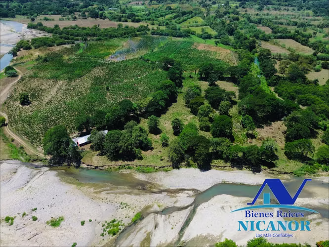 Finca sembrada de platanos en venta