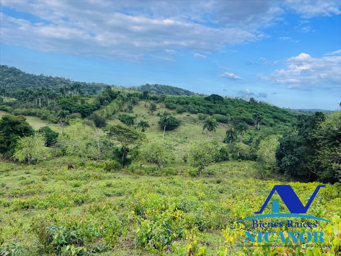 Finca ganadera en venta de 2,300 tareas en adelante hasta 5,200 tareas