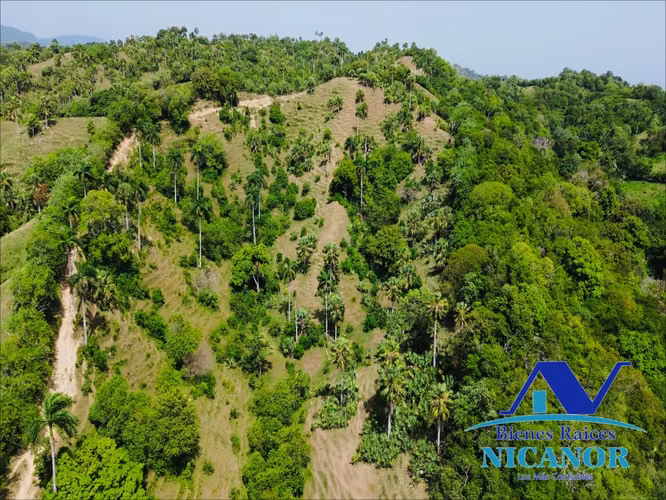 Finca ganadera de 825 tareas en venta