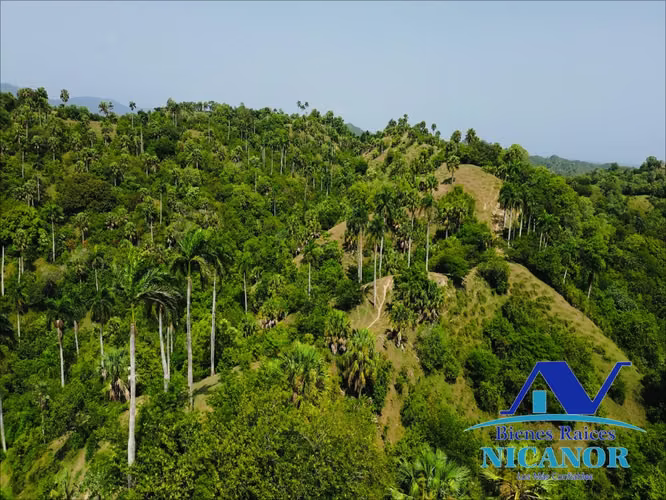 Finca ganadera de 825 tareas en venta