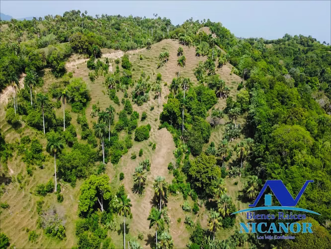 Finca ganadera de 825 tareas en venta