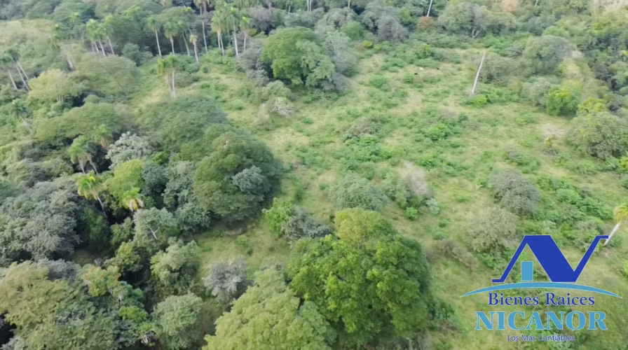 Finca ganadera 1,150 tareas en venta en Guananico