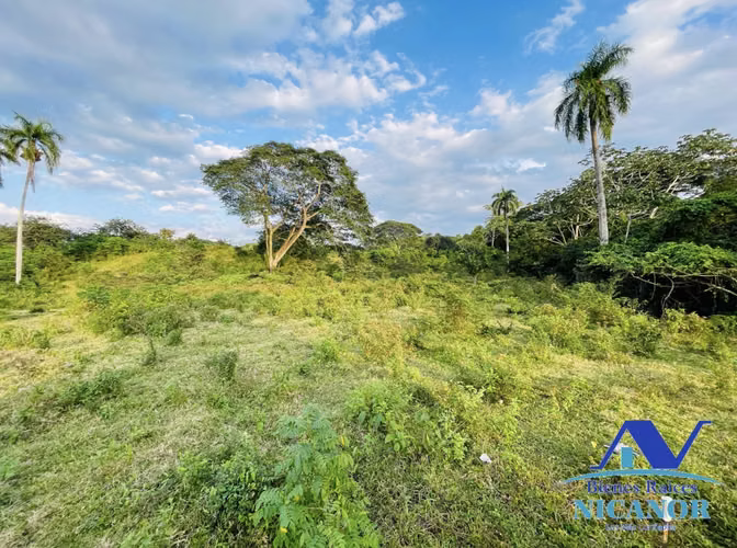 Finca ganadera 1,150 tareas en venta en Guananico