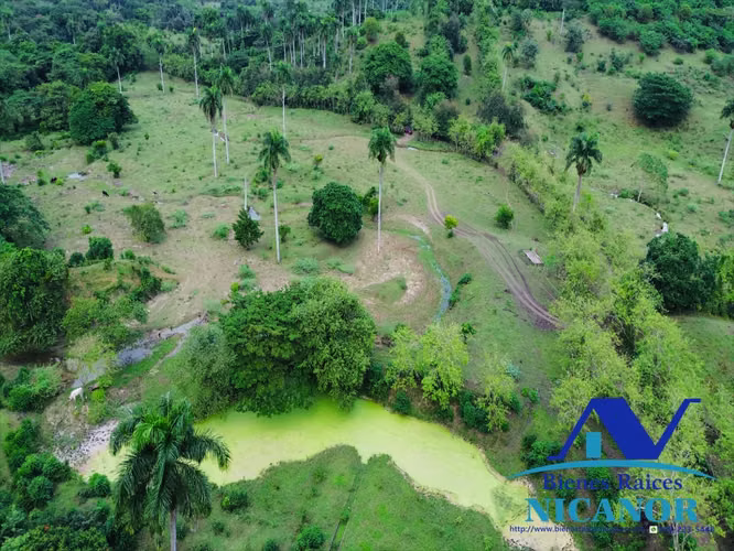Finca ganadera de 5,200 tareas en venta