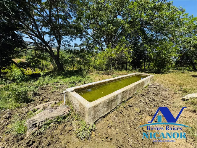 Finca ganadera de 846 tareas en venta