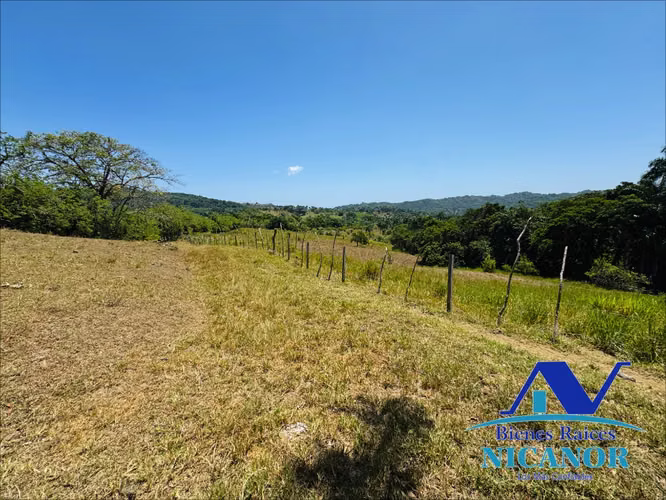 Finca ganadera de 846 tareas en venta