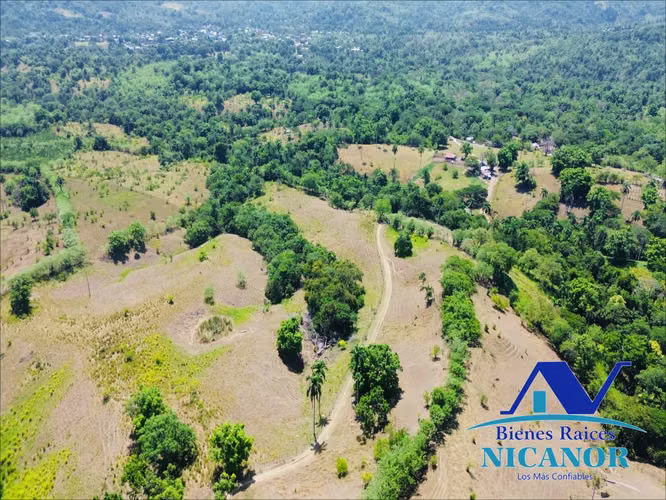 Finca ganadera de 846 tareas en venta