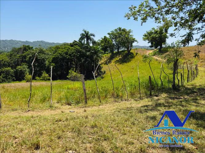 Finca ganadera de 846 tareas en venta