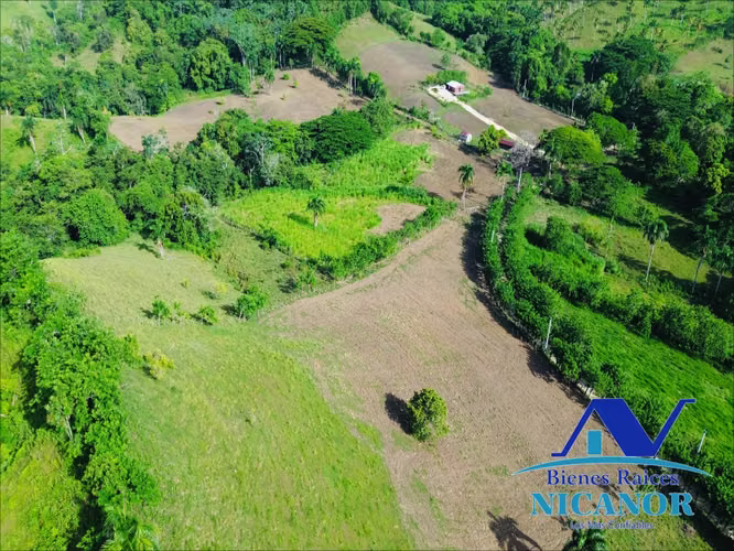 Finca ganadera en venta de 278 tareas