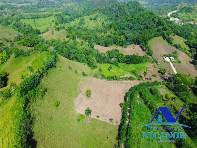 Finca ganadera en venta de 278 tareas