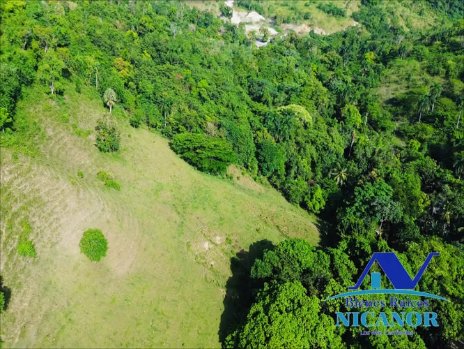 Finca ganadera en venta de 278 tareas