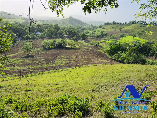 Finca ganadera en venta de 278 tareas