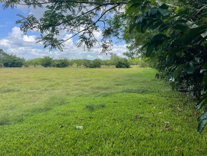 Vendo BELLA  Finca GANADERA CON SUS PASTOS, 245 tareas en DON JUAN, MONTE PLATA - Imagen 16