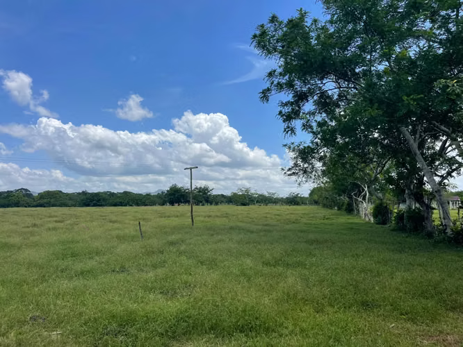 Vendo BELLA  Finca GANADERA CON SUS PASTOS, 245 tareas en DON JUAN, MONTE PLATA - Imagen 9