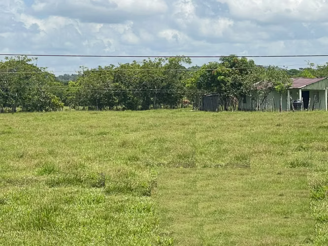 Vendo BELLA  Finca GANADERA CON SUS PASTOS, 245 tareas en DON JUAN, MONTE PLATA - Imagen 13