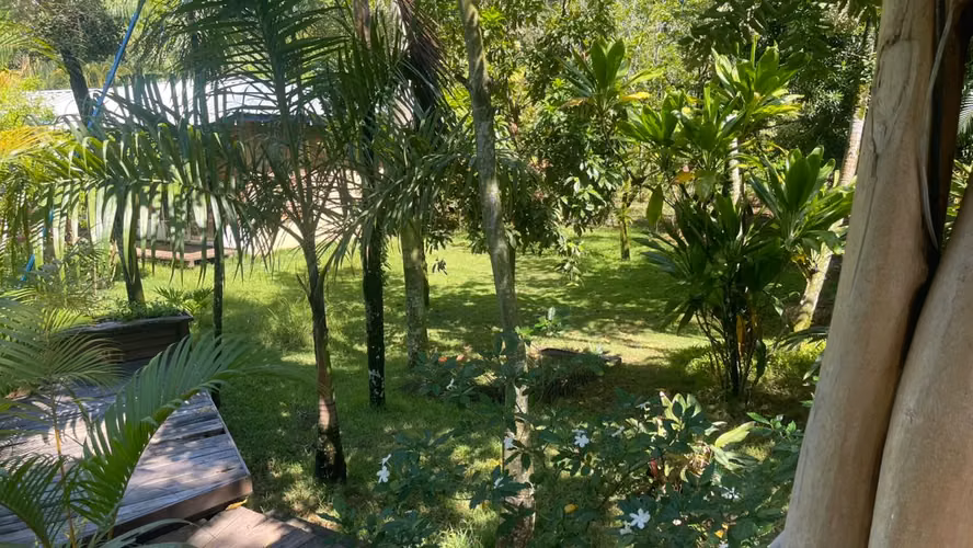 Vendo VILLA CON SU PISCINA + SIEMBRAS EN MONTE PLATA, CON 74 TAREAS - Imagen 3