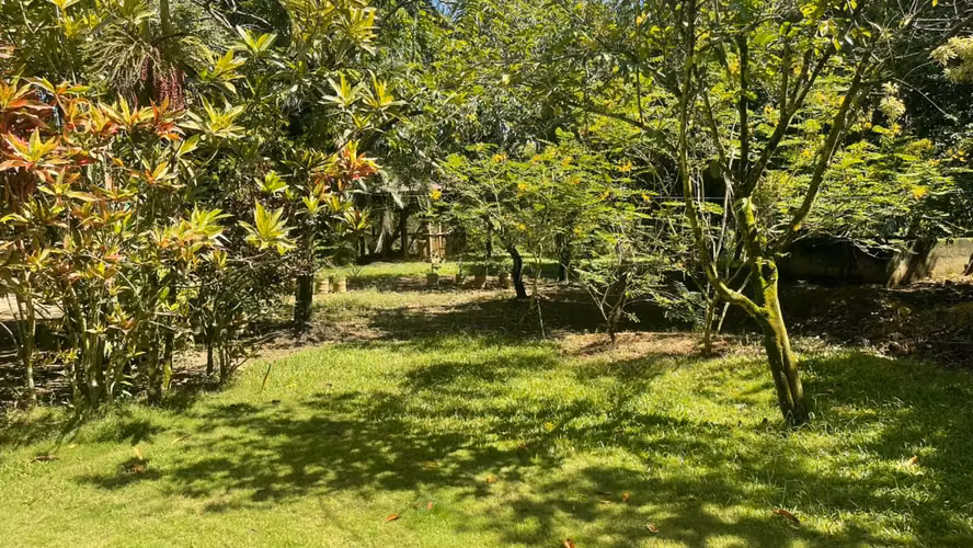 Vendo VILLA CON SU PISCINA + SIEMBRAS EN MONTE PLATA, CON 74 TAREAS - Imagen 4