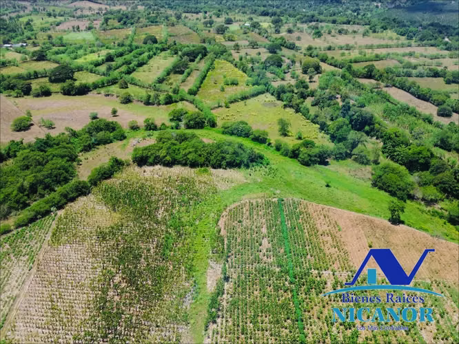 Finca sembrada de platanos en venta - Imagen 4