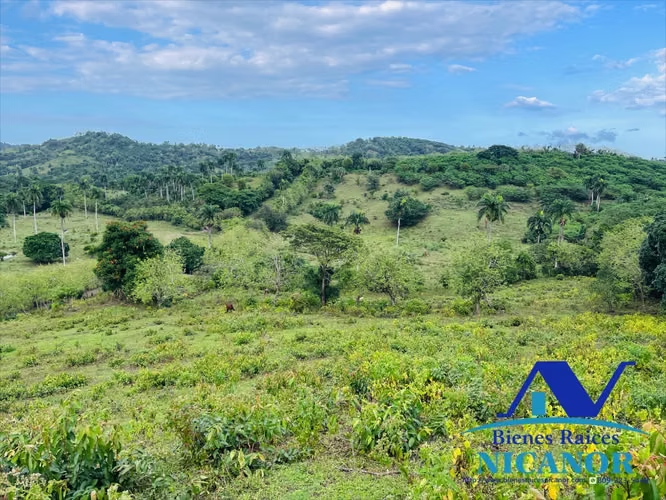 Finca de 2,300 tareas en venta en imbert puerto plata  - Imagen 7
