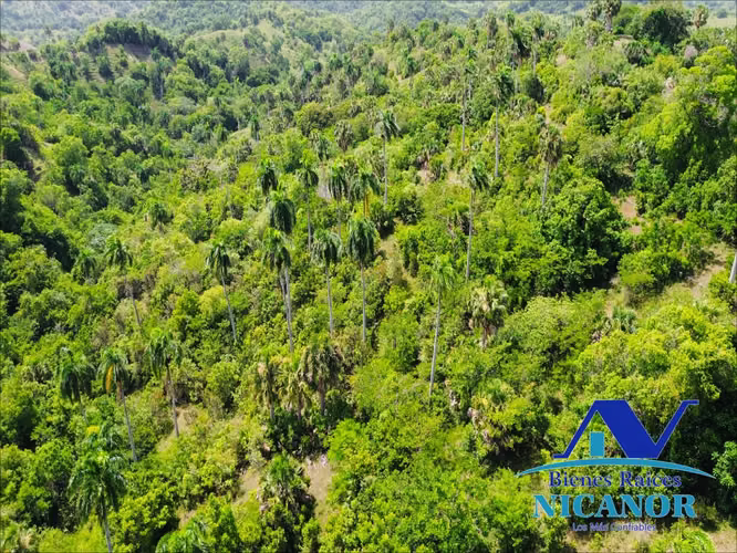 Finca de 825 tareas en venta  - Imagen 13